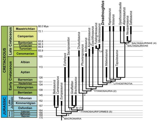  dreadnoughtus phylogeny-lacovara-et-al-2014-fig-3